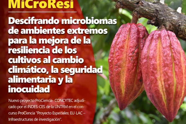 INDES-CES de la UNTRM adjudica proyecto para la mejora de cultivos de cacao en colaboración con instituciones internacionales