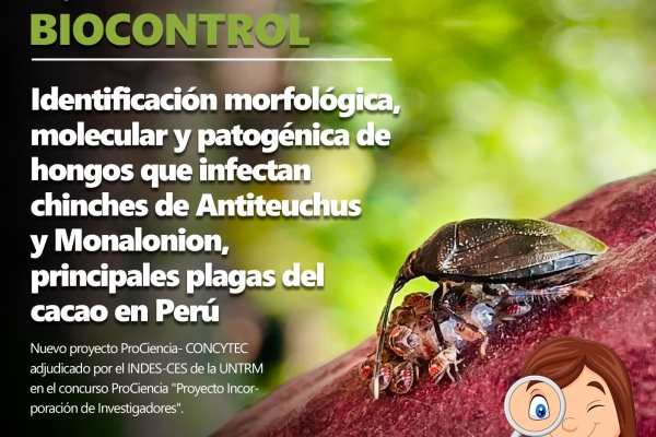 Nuevo proyecto para el biocontrol de insectos plagas del cacao es adjudicado por el INDES-CES
