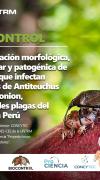 Nuevo proyecto para el biocontrol de insectos plagas del cacao es adjudicado por el INDES-CES